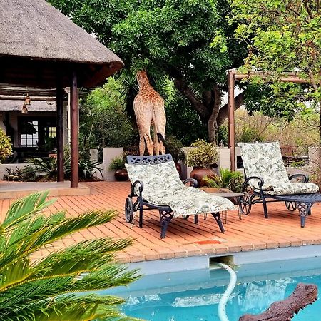 Graceland Eco Retreat Magoebaskloof Exterior photo