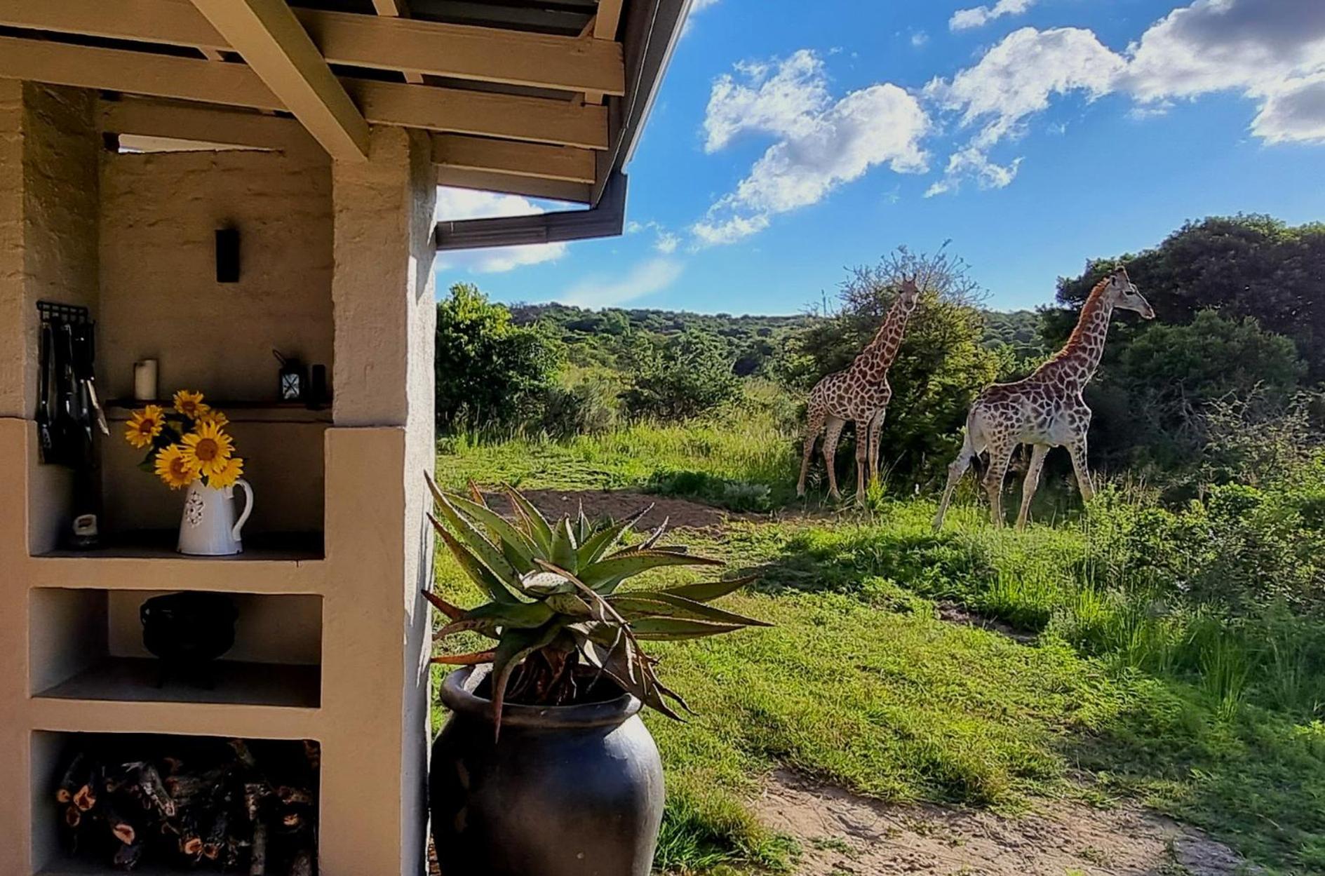 Graceland Eco Retreat Magoebaskloof Exterior photo